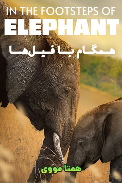 دانلود مستند همگام با فیل‌ها با دوبله فارسی In the Footsteps of Elephant 2020
