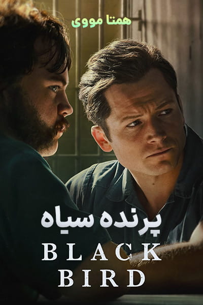 دانلود سریال پرنده سیاه دوبله فارسی Black Bird 2022